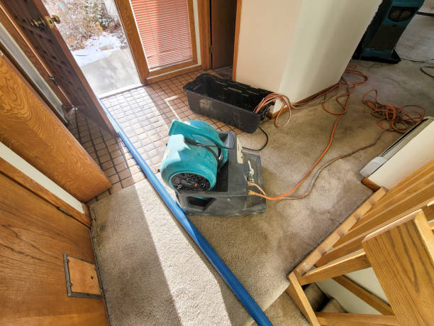 Best Commercial water damage restoration  in Indian Shores, FL