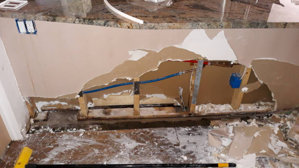 Best 24/7 water damage repair  in Indian Shores, FL