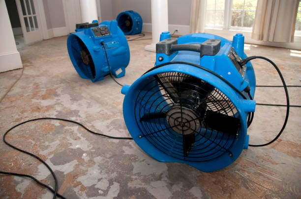 Best Local water damage restoration  in Indian Shores, FL