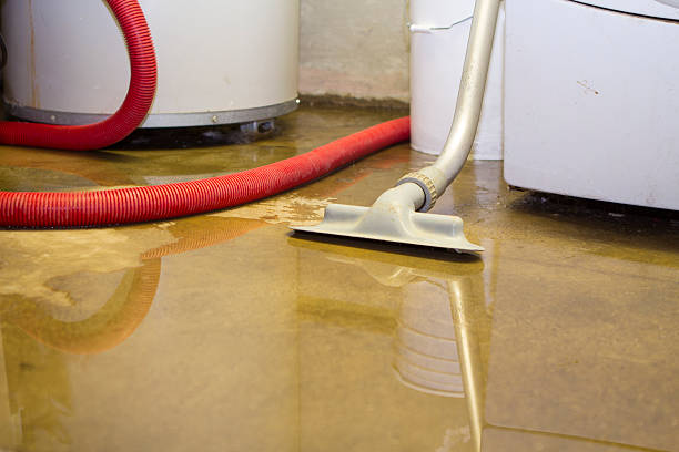 Best Ceiling water damage repair  in Indian Shores, FL