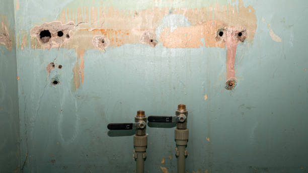 Best Carpet water damage restoration  in Indian Shores, FL