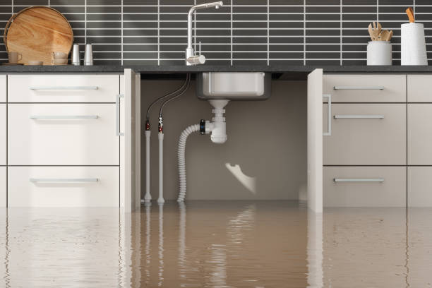 Best Water damage contractors near me  in Indian Shores, FL
