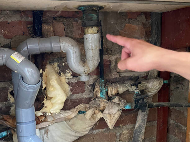 Best Local water damage restoration  in Indian Shores, FL